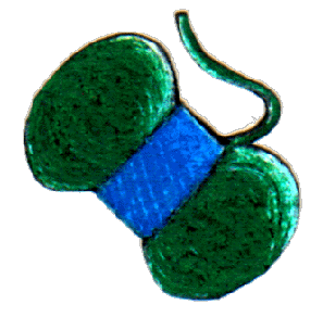 pelote.gif